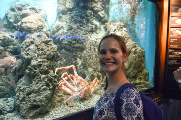 blog-shedd-aquarium-experience-chicago-7594e4ca5ee3d73df48d1b0a468a021c